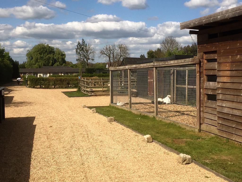 Willow Court Farm Studio West & Petting Farm, 8 Mins To Legoland & Windsor, 15 Mins To Lapland Uk Villa Exteriör bild